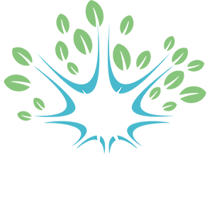 Nerve 2.0 Wellness Center